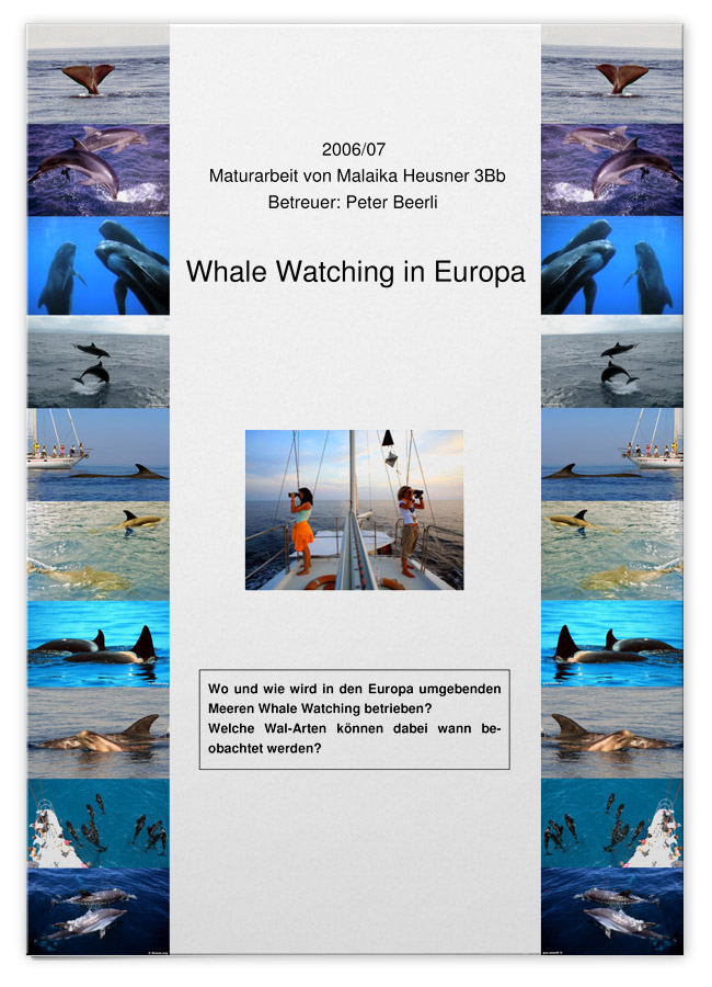 Whale Watching in Europa