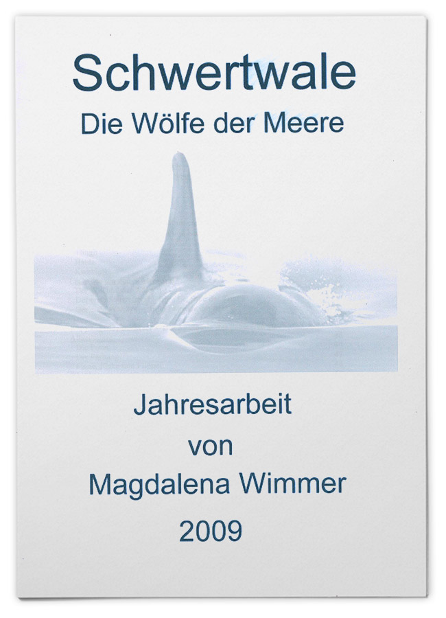 Schwertwale – die Wölfe der Meere