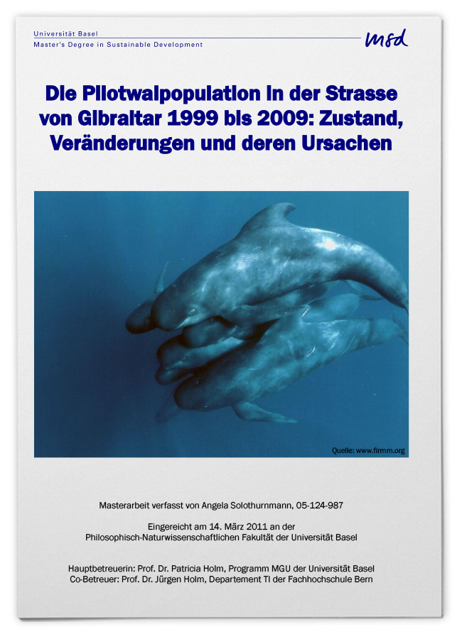 Die Pilotwalpopulation in der Straße von Gibraltar 1999 bis 2009