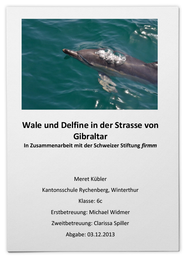 Wale und Delfine in der Strasse von Gibraltar