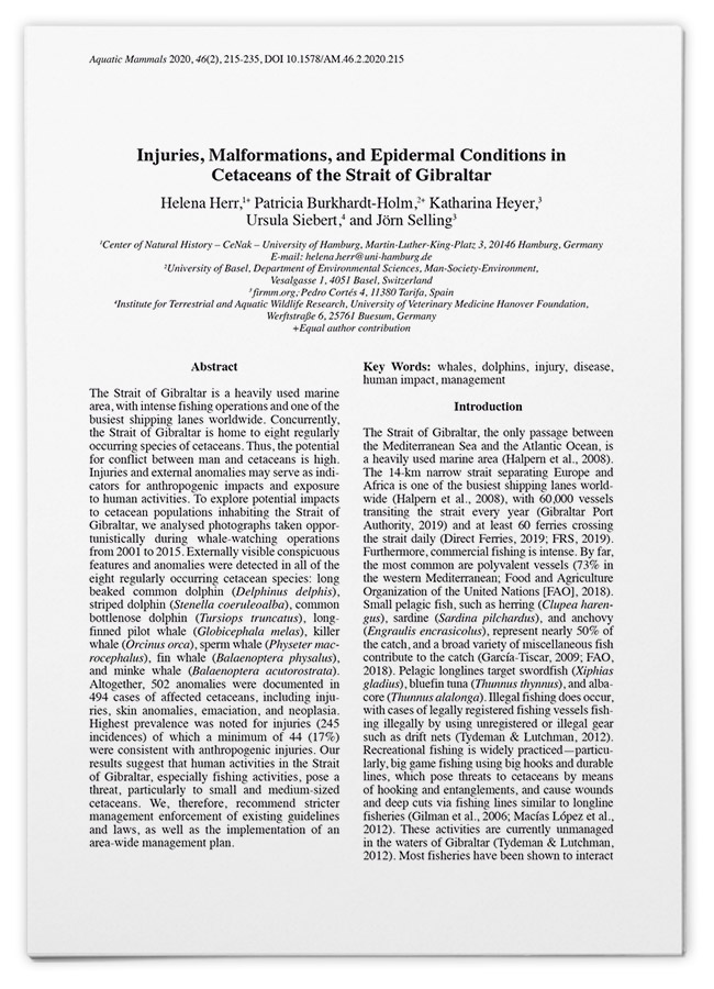 Injuries, Malformations, and Epidermal Conditions in Cetaceans of the Strait of Gibraltar