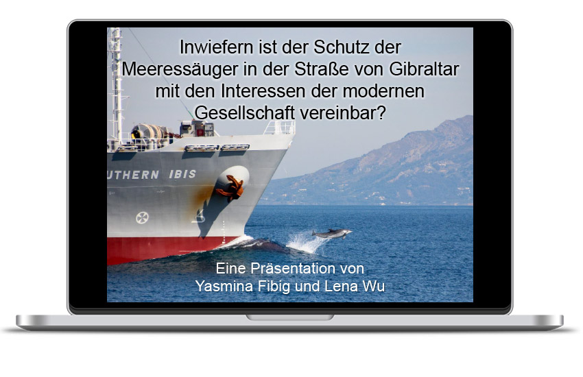 Inwiefern ist der Schutz der Meeressäuger in der Straße von Gibraltar mit den Interessen der modernen Gesellschaft vereinbar?