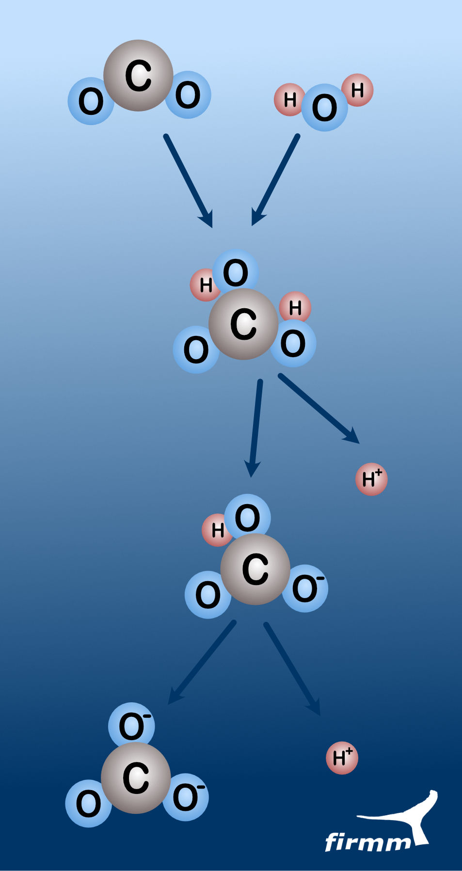 Reaktion von Kohlendioxid mit Wasser