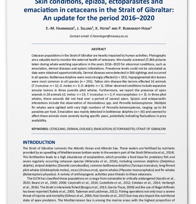 Injuries in cetaceans in the Strait of Gibraltar: an update for the period 2016-2020